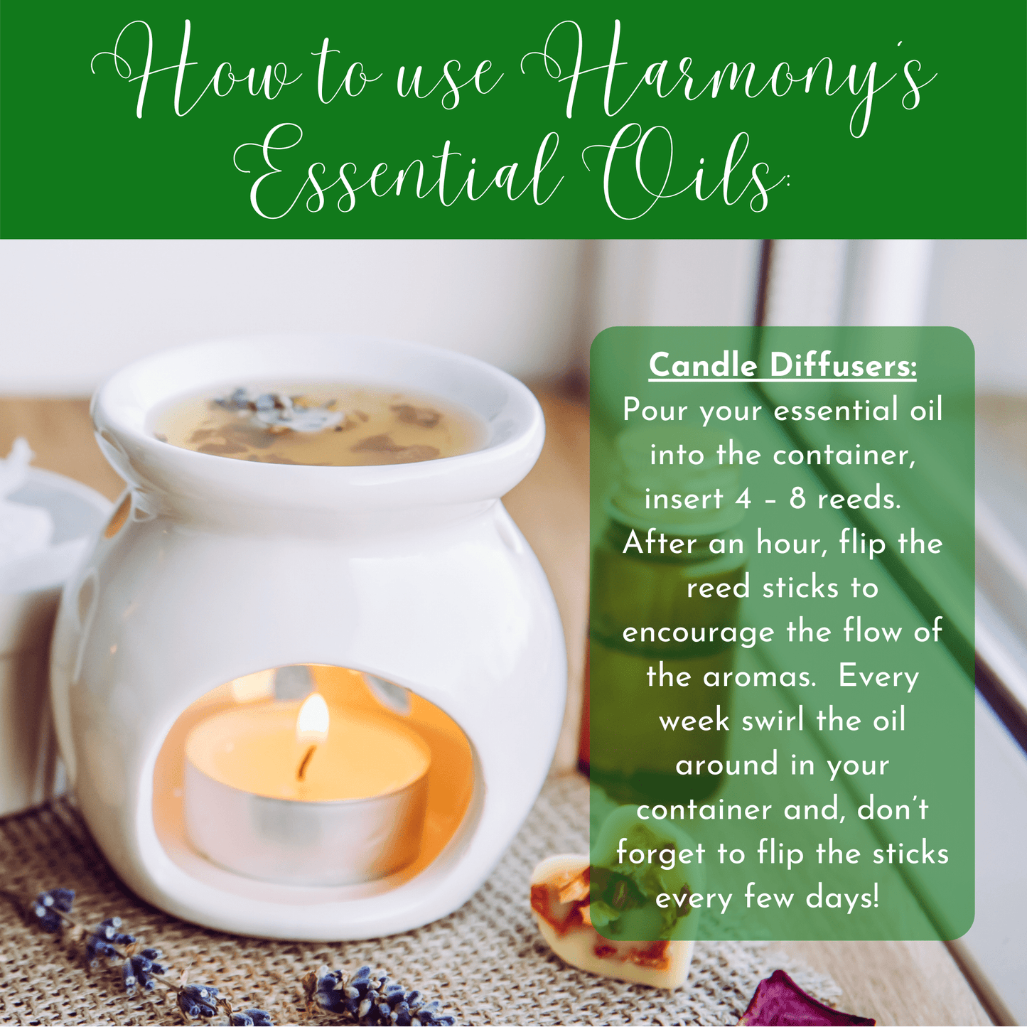 H.E.A.L.'s Essential Oils - Cellulite Reducing Oil