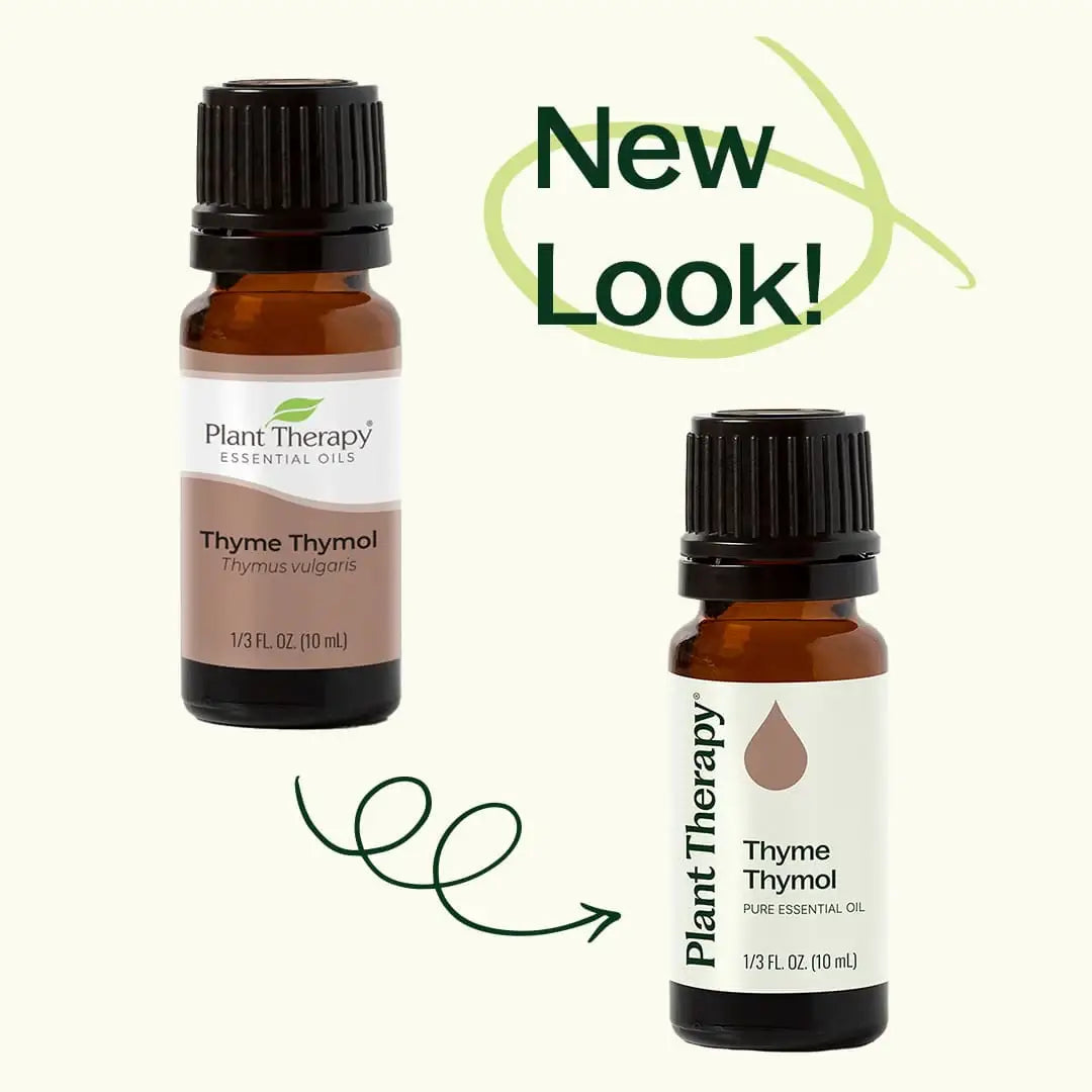 Thyme Thymol Essential Oil 10 mL
