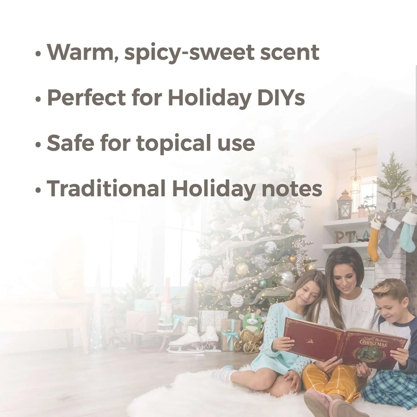 Holiday Season Essential Oil Blend 10 mL