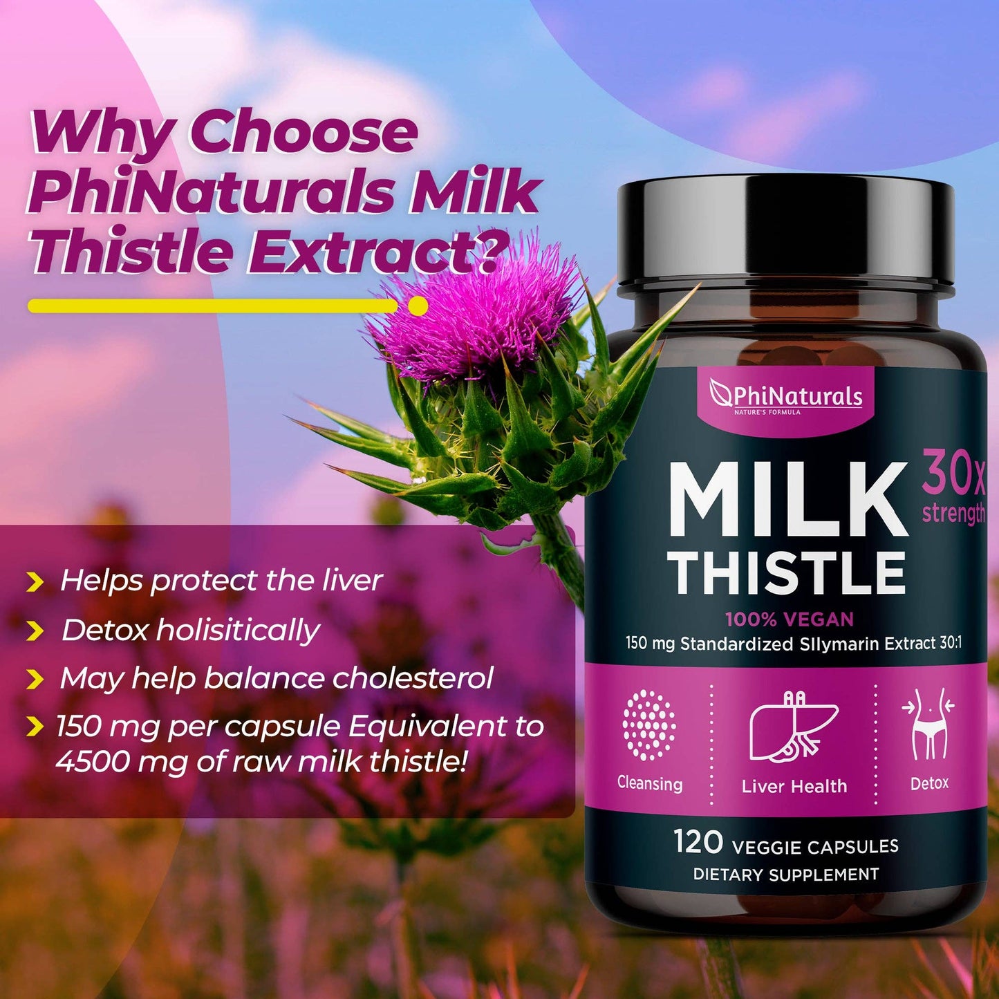 Phi Naturals - Milk Thistle Silymarin 30x Extract Supplement: 1-Pack