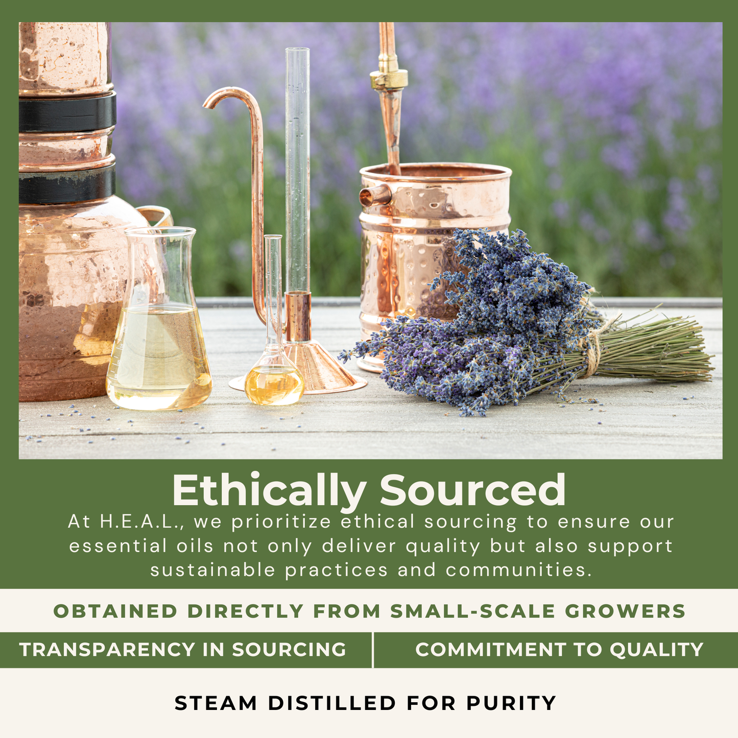 H.E.A.L.'s Essential Oils - Cellulite Reducing Oil