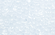 Vanilla Flower Shaped Air Fresheners - Signature Collection: Vanilla / Flower