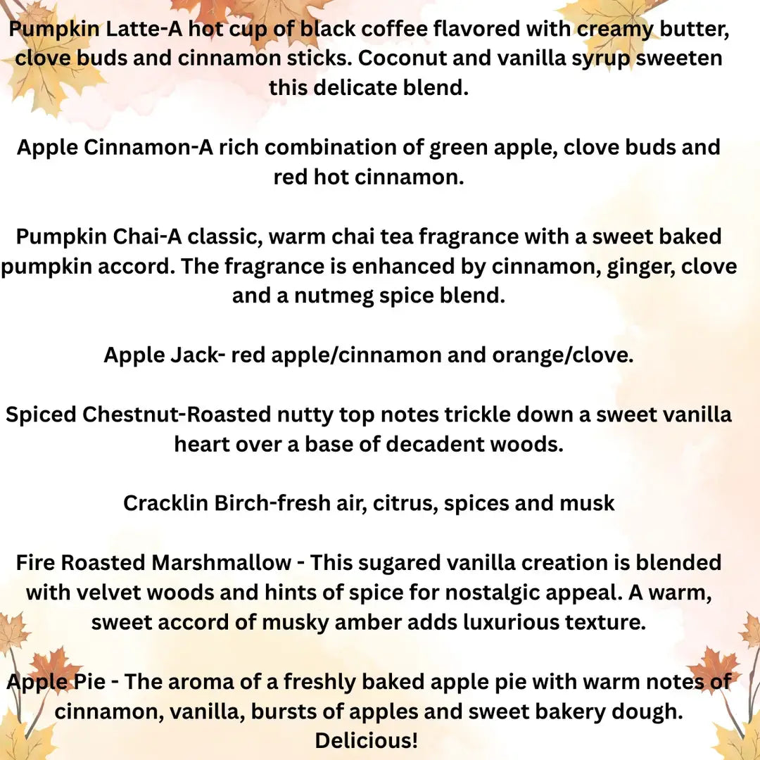 10 ML CAR DIFFUSER -FALL LINE