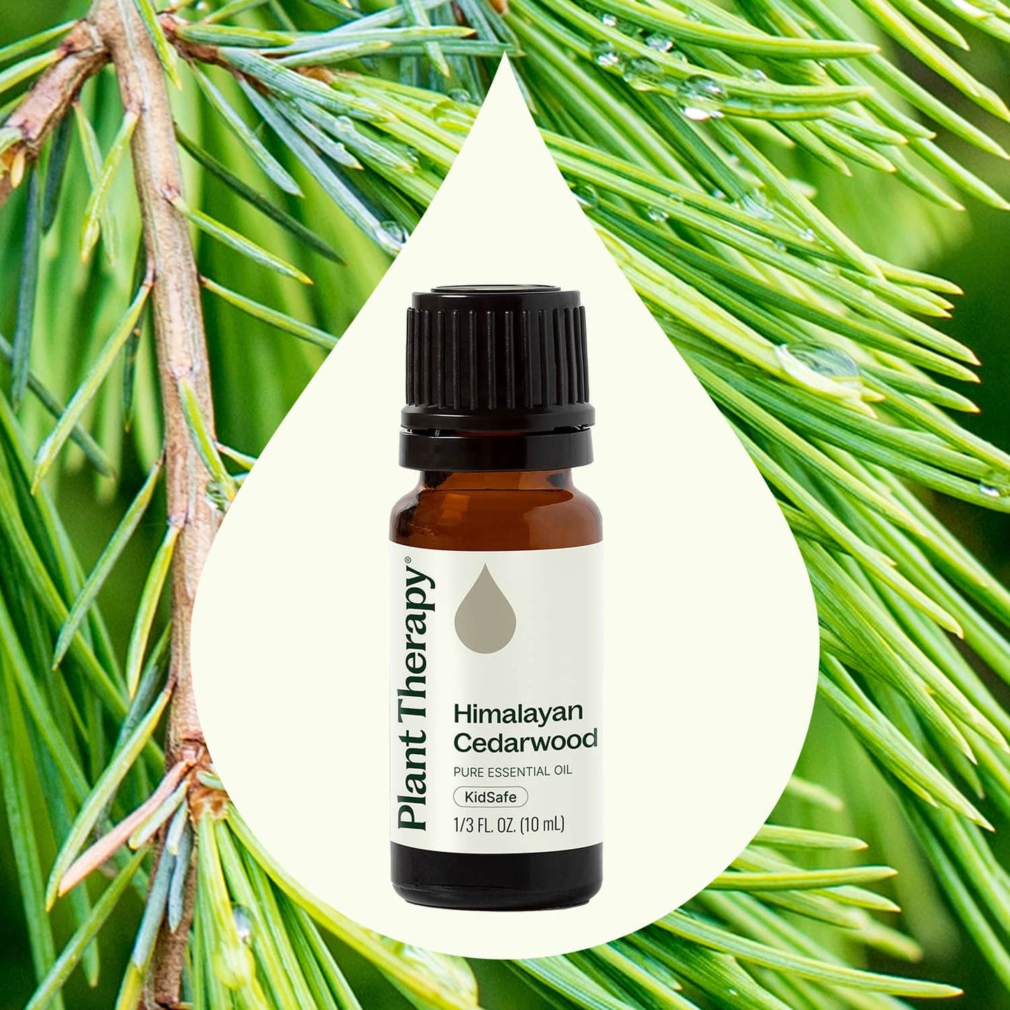 Himalayan Cedarwood Essential Oil 10 mL
