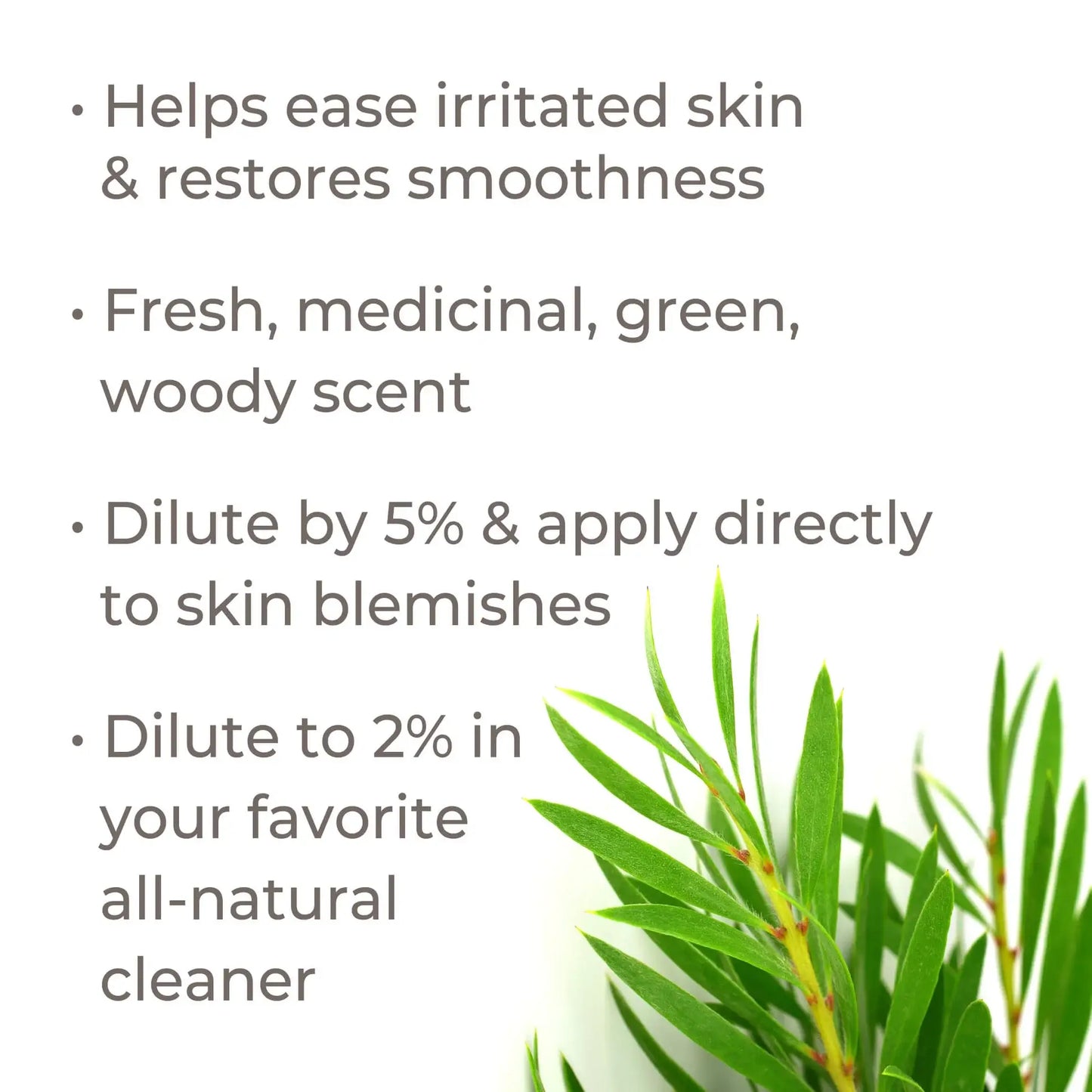 Tea Tree Essential Oil 30 mL