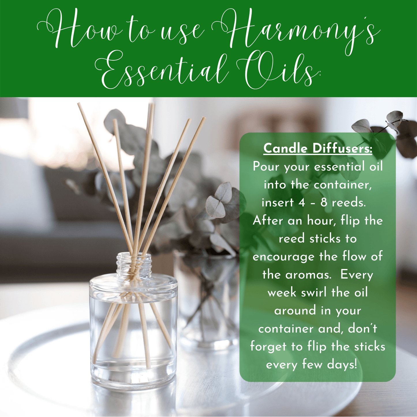 H.E.A.L.'s Essential Oils - Cellulite Reducing Oil