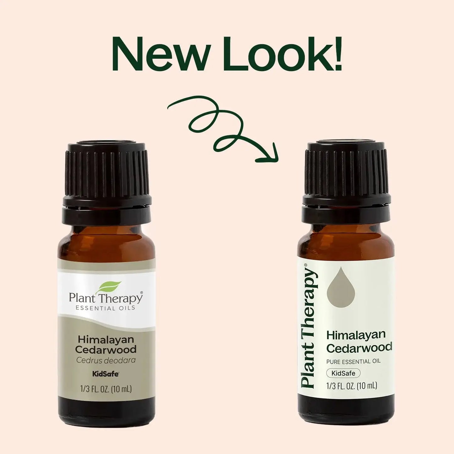 Himalayan Cedarwood Essential Oil 10 mL
