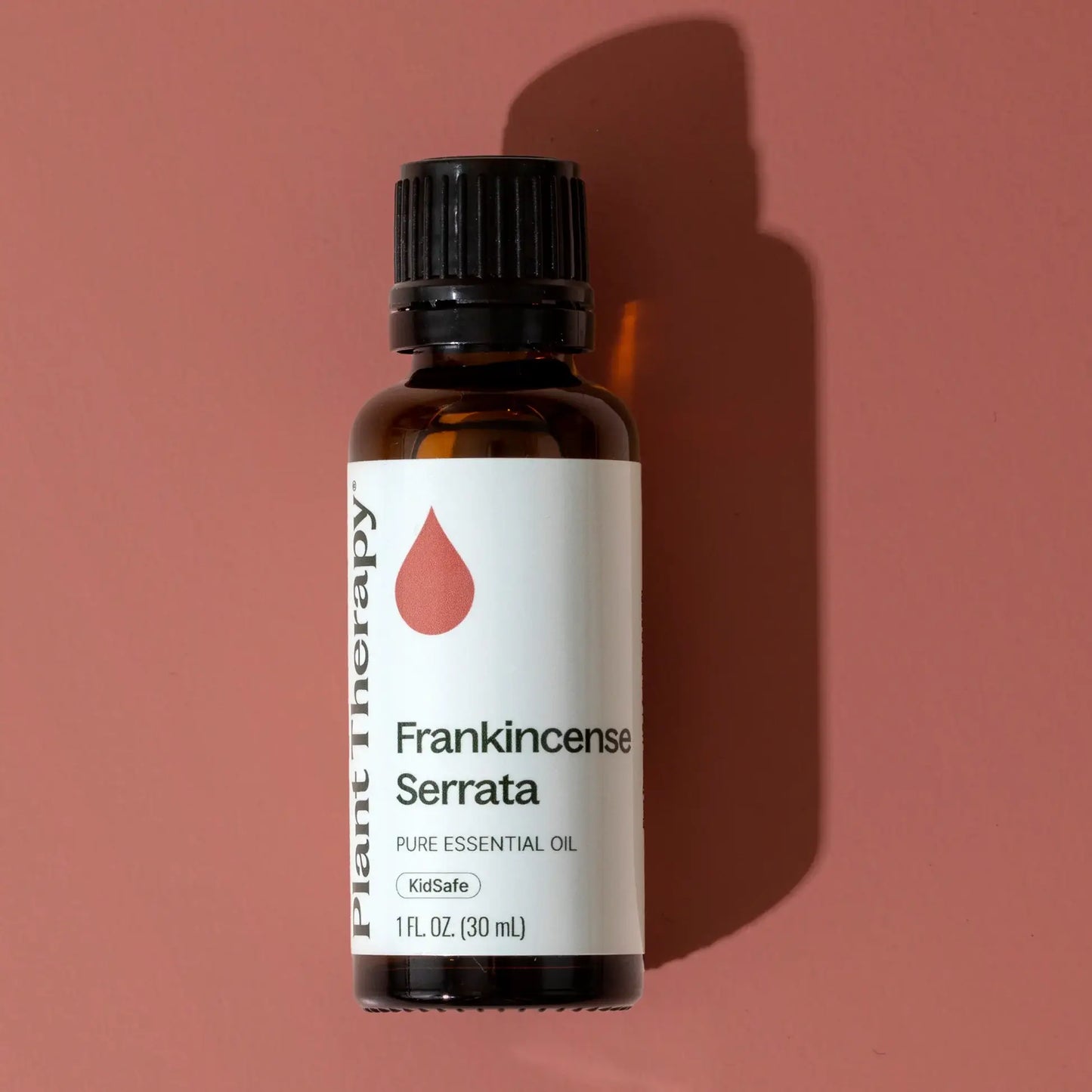 Frankincense Serrata Essential Oil 10 mL