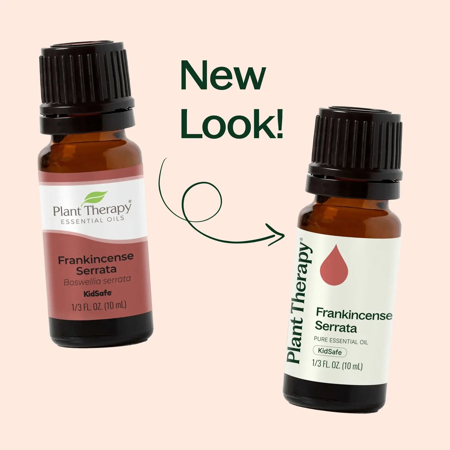 Frankincense Serrata Essential Oil 10 mL